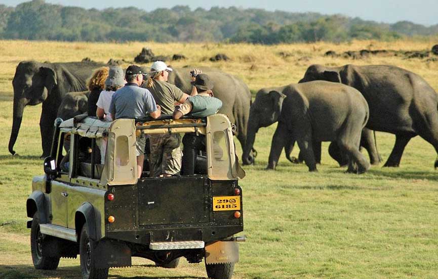 Tourists in a safari jeep watching a herd of wild elephants cross open grassland.