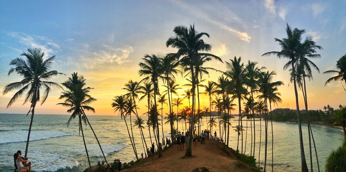Silhouetted palm trees on a coastal headland at sunset, with visitors gathered to watch.